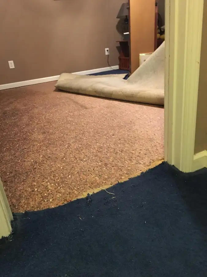 Carpet pad removal revealing water damage during Drying & Dehumidification in Los Ranchos de Albuquerque