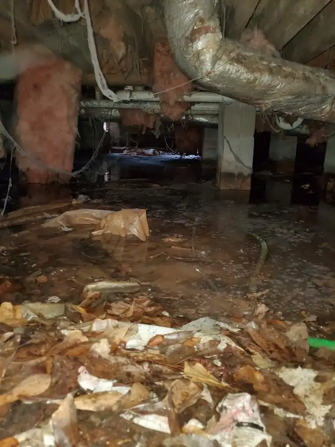 Crawl space flood assessment for Leak Detection & Repair in Los Ranchos de Albuquerque
